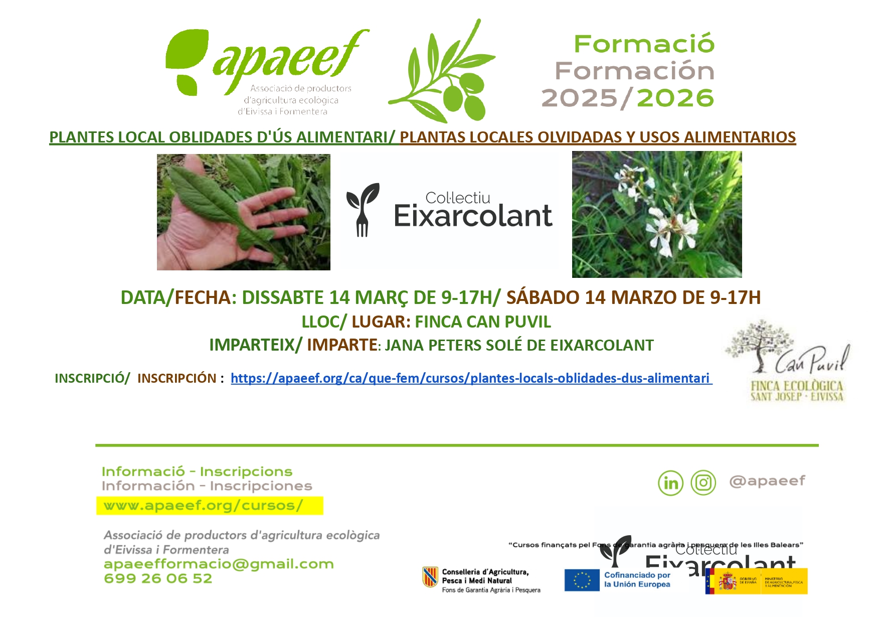 PLANTES LOCALS OBLIDADES D'US ALIMENTARI