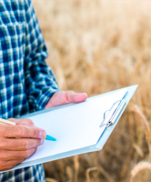 Línies clau (key lines)