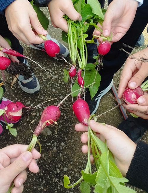 Niños y niñas de San Antonio preparados por la soberanía alimentaria
