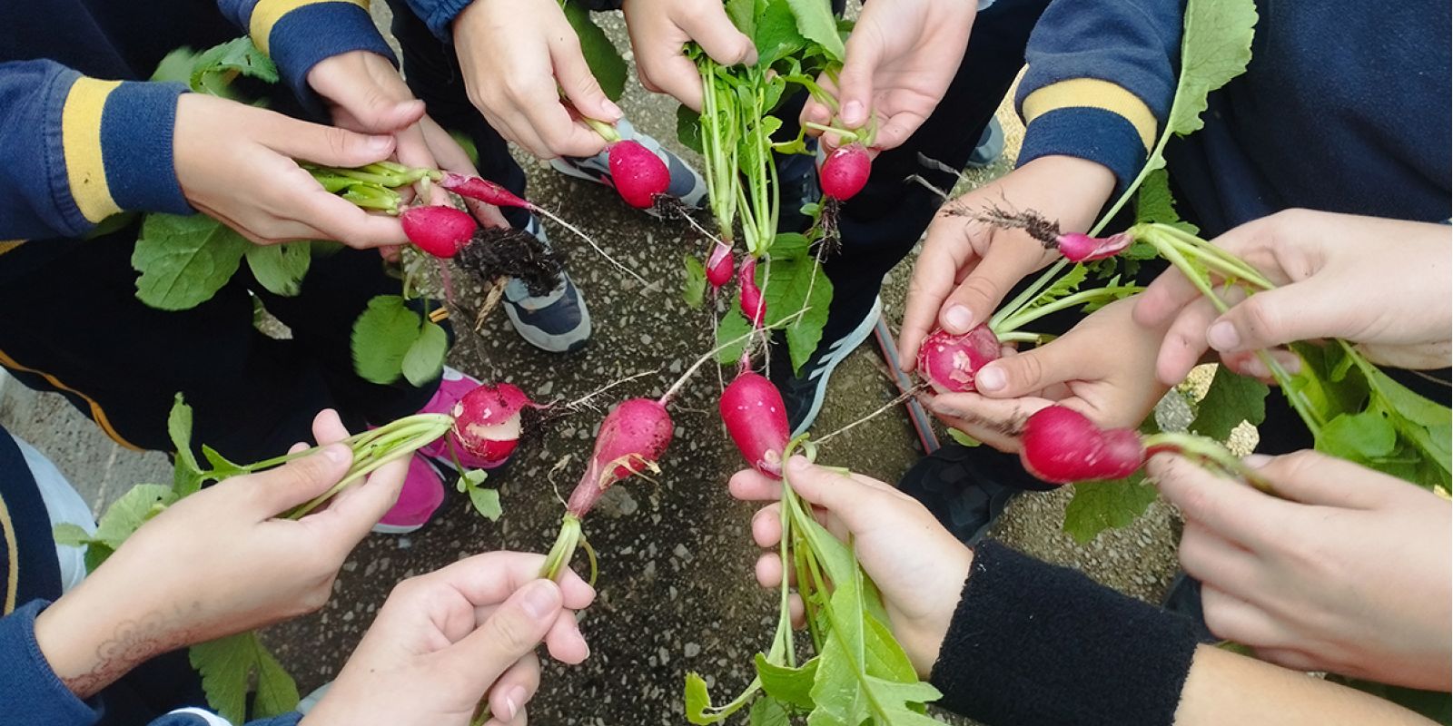 Niños y niñas de Sant Antoni preparados por la soberanía alimentaria
